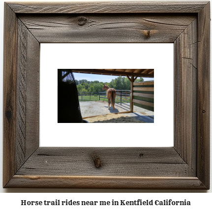 horse trail rides near me in Kentfield, California